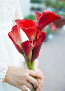 Gd6958958e2a370f2eff4f9aa4a59a7ee9c7cd55e1b390e7edc5ed8f3f8b7ed0d21a293dca35d86b8aa795c56c89f6edcb2f07924229f1e572a9802b96b7695fe 640